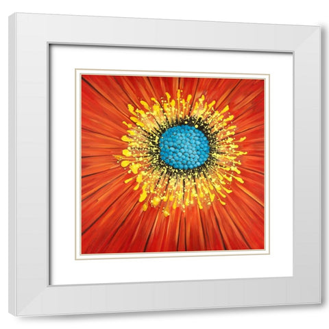 Close-up on a red flower White Modern Wood Framed Art Print with Double Matting by Atelier B Art Studio