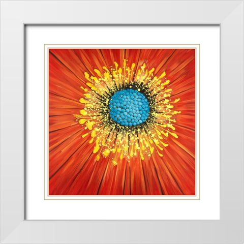 Close-up on a red flower White Modern Wood Framed Art Print with Double Matting by Atelier B Art Studio
