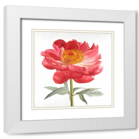 Pink Peony White Modern Wood Framed Art Print with Double Matting by Atelier B Art Studio