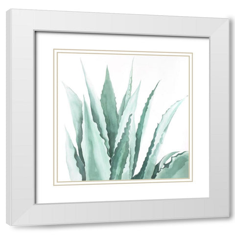 Watercolor Agave Plant White Modern Wood Framed Art Print with Double Matting by Atelier B Art Studio