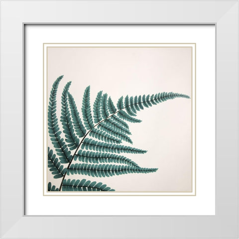FERN White Modern Wood Framed Art Print with Double Matting by Atelier B Art Studio