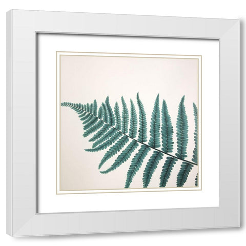 BEAUTIFUL FERN White Modern Wood Framed Art Print with Double Matting by Atelier B Art Studio