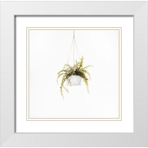 SUSPENDED FERN White Modern Wood Framed Art Print with Double Matting by Atelier B Art Studio