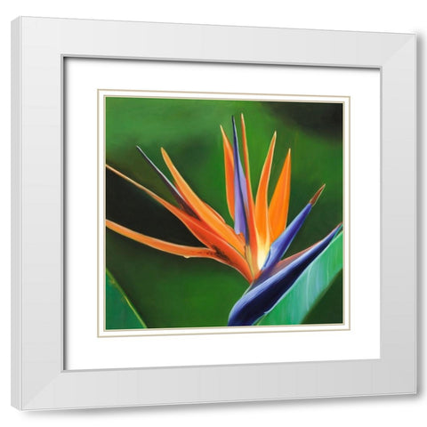 BIRD OF PARADISE FLOWER  White Modern Wood Framed Art Print with Double Matting by Atelier B Art Studio