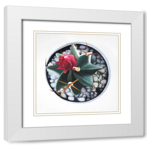 CACTUS IN POT White Modern Wood Framed Art Print with Double Matting by Atelier B Art Studio