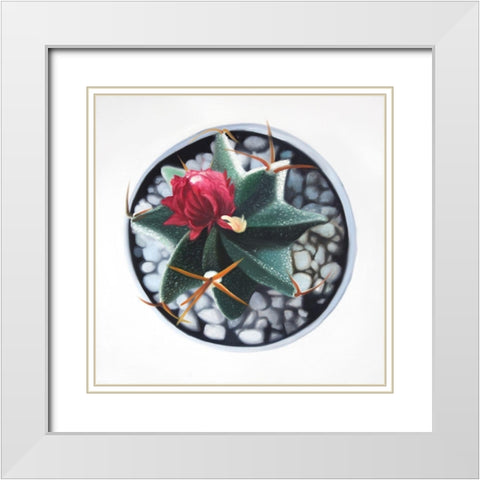 CACTUS IN POT White Modern Wood Framed Art Print with Double Matting by Atelier B Art Studio