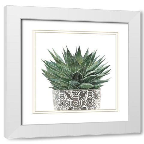 ZEBRA PLANT SUCCULENT White Modern Wood Framed Art Print with Double Matting by Atelier B Art Studio