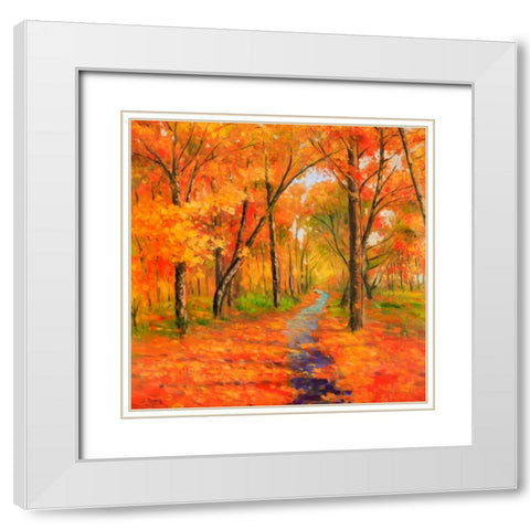 Autumn Trail in the Forest White Modern Wood Framed Art Print with Double Matting by Atelier B Art Studio