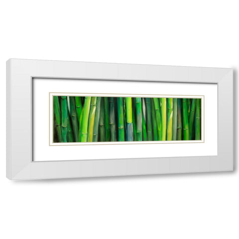 Bamboo Plant White Modern Wood Framed Art Print with Double Matting by Atelier B Art Studio