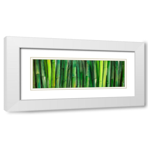 Green Bamboo White Modern Wood Framed Art Print with Double Matting by Atelier B Art Studio