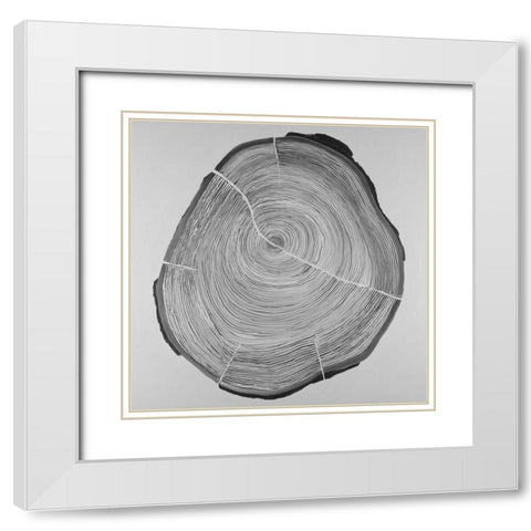 Grayscale Oval Shaped Tree Slab White Modern Wood Framed Art Print with Double Matting by Atelier B Art Studio