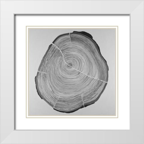 Grayscale Oval Shaped Tree Slab White Modern Wood Framed Art Print with Double Matting by Atelier B Art Studio