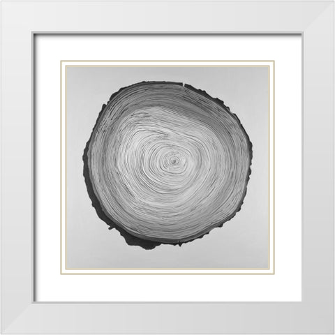 Grayscale Round Shaped Tree Slab White Modern Wood Framed Art Print with Double Matting by Atelier B Art Studio