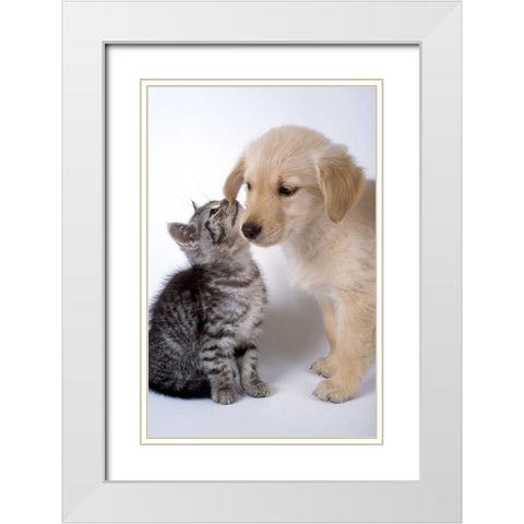 True love White Modern Wood Framed Art Print with Double Matting by Hoenderkamp, Patrick