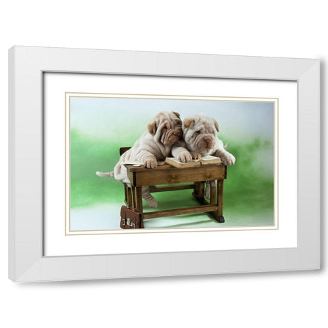 University dogs White Modern Wood Framed Art Print with Double Matting by Hoenderkamp, Patrick