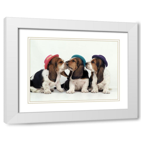 Party dogs White Modern Wood Framed Art Print with Double Matting by Hoenderkamp, Patrick