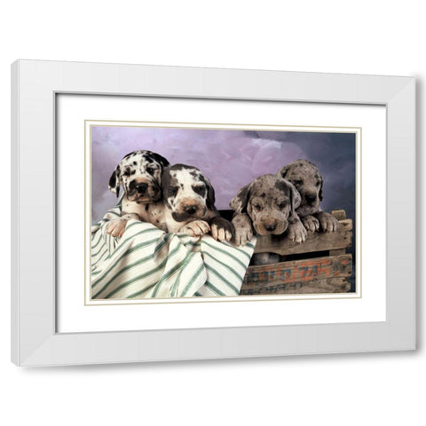 We are family White Modern Wood Framed Art Print with Double Matting by Hoenderkamp, Patrick