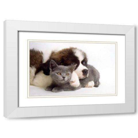 real love White Modern Wood Framed Art Print with Double Matting by Hoenderkamp, Patrick