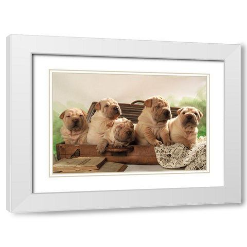 Ready to travel White Modern Wood Framed Art Print with Double Matting by Hoenderkamp, Patrick