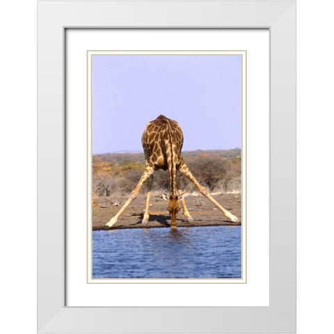 Giraffe White Modern Wood Framed Art Print with Double Matting by Hoenderkamp, Patrick