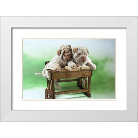 clever dogs White Modern Wood Framed Art Print with Double Matting by Hoenderkamp, Patrick