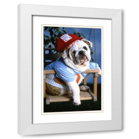 mops dog White Modern Wood Framed Art Print with Double Matting by Hoenderkamp, Patrick