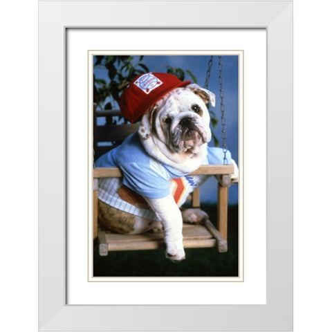 mops dog White Modern Wood Framed Art Print with Double Matting by Hoenderkamp, Patrick