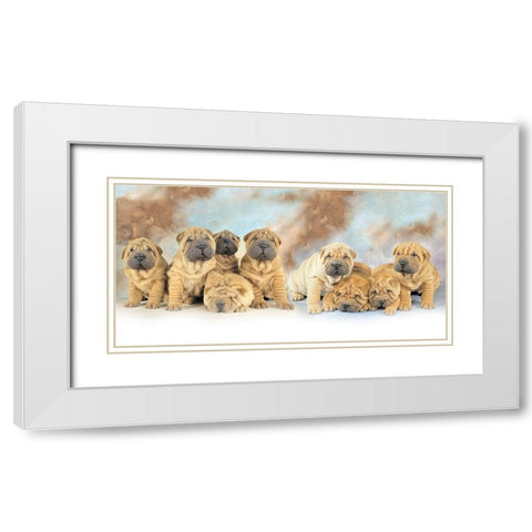 Puppies White Modern Wood Framed Art Print with Double Matting by Hoenderkamp, Patrick