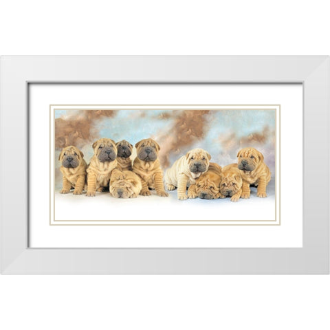 Puppies White Modern Wood Framed Art Print with Double Matting by Hoenderkamp, Patrick