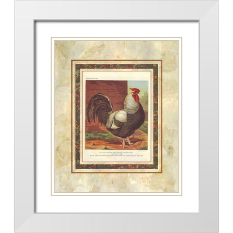 Rose-Combed Dorking Cock, Cassells Poultry Book White Modern Wood Framed Art Print with Double Matting by Ludlow, J.W.