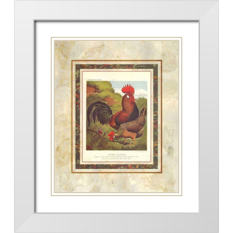 Brown Leg Horn, Cassells Poultry Book White Modern Wood Framed Art Print with Double Matting by Ludlow, J.W.