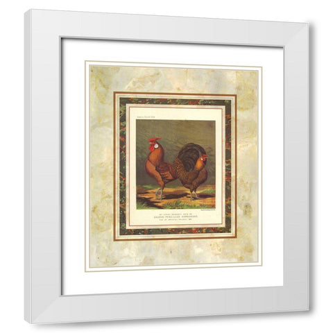 Golden Pencilled Hamburghs, Cassells Poultry Book White Modern Wood Framed Art Print with Double Matting by Ludlow, J.W.