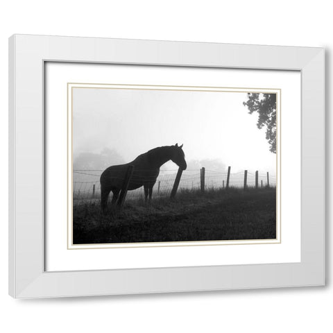 Morning Pasture White Modern Wood Framed Art Print with Double Matting by Anonymous