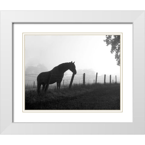 Morning Pasture White Modern Wood Framed Art Print with Double Matting by Anonymous