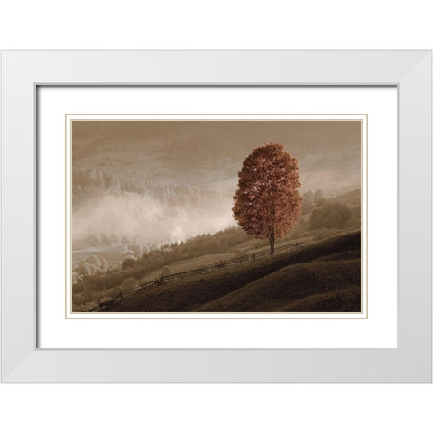 Lovely Mountain Tree White Modern Wood Framed Art Print with Double Matting by Kotenko, O.