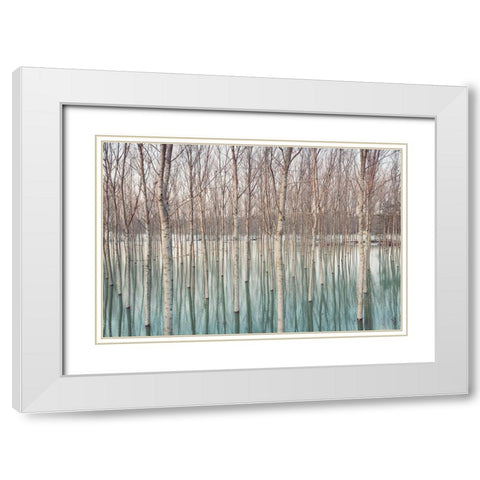 White Birches in the River  White Modern Wood Framed Art Print with Double Matting by Ricordi, Andrea G.
