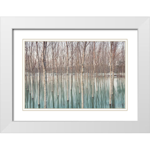 White Birches in the River  White Modern Wood Framed Art Print with Double Matting by Ricordi, Andrea G.