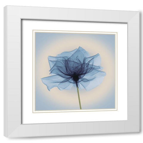 Layered Veil, Blue White Modern Wood Framed Art Print with Double Matting by Anonymous