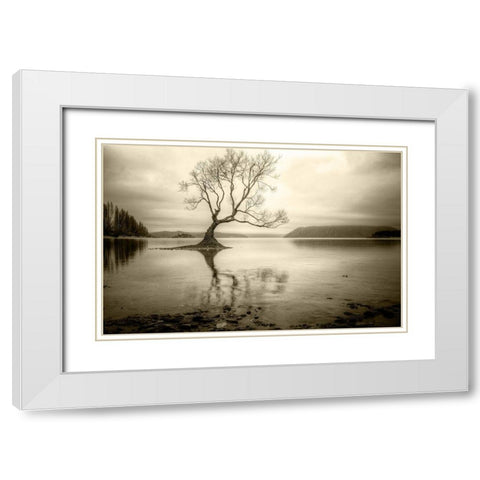 Lone Tree in a Lake White Modern Wood Framed Art Print with Double Matting by Rushton, Ian