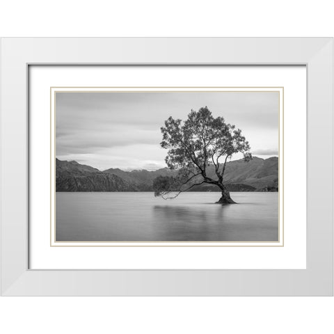 Iconic Lake Tree White Modern Wood Framed Art Print with Double Matting by Anon