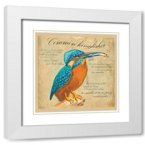 Common Kingfisher White Modern Wood Framed Art Print with Double Matting by Kuco