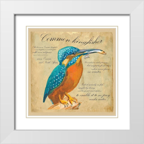Common Kingfisher White Modern Wood Framed Art Print with Double Matting by Kuco