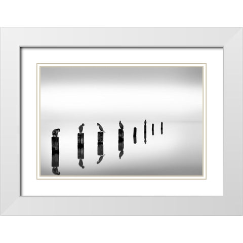 Birds on Sea Poles White Modern Wood Framed Art Print with Double Matting by Digalakis, Georgios