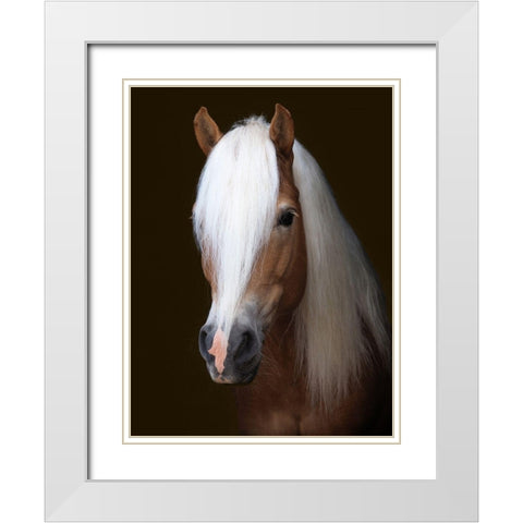 Stunning Stallion White Modern Wood Framed Art Print with Double Matting by Baker, Nigel