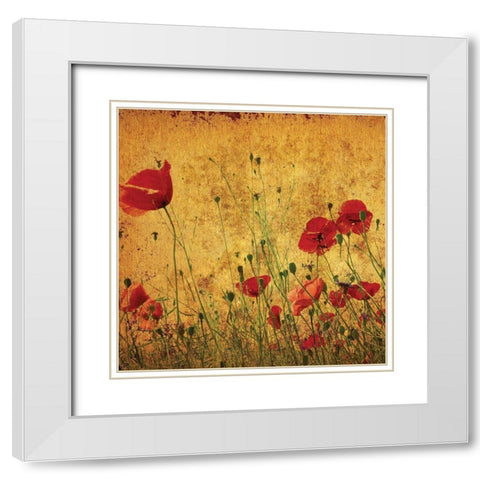 Field of Poppies White Modern Wood Framed Art Print with Double Matting by Anonymous