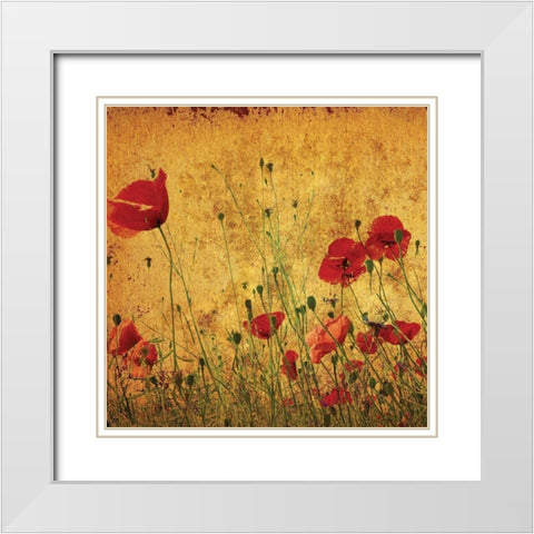 Field of Poppies White Modern Wood Framed Art Print with Double Matting by Anonymous