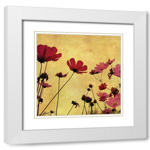 Country Poppies White Modern Wood Framed Art Print with Double Matting by Anonymous