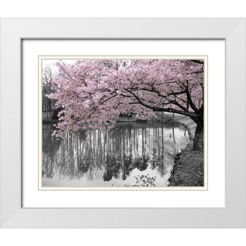 Violet Reflections II White Modern Wood Framed Art Print with Double Matting by Anonymous
