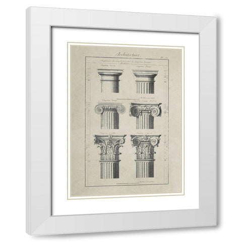 Greek Column Comparisons White Modern Wood Framed Art Print with Double Matting by Anonymous