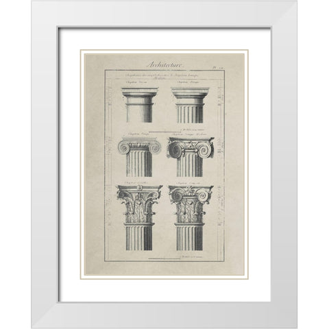 Greek Column Comparisons White Modern Wood Framed Art Print with Double Matting by Anonymous